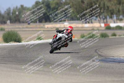 media/Sep-07-2025-Pacific Track Time (Sun) [[a6322260b9]]/A and B Group/Wheelie Bump A and B/
